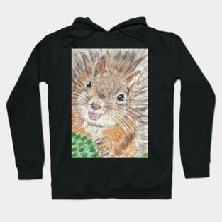 squirrel face art Hoodie